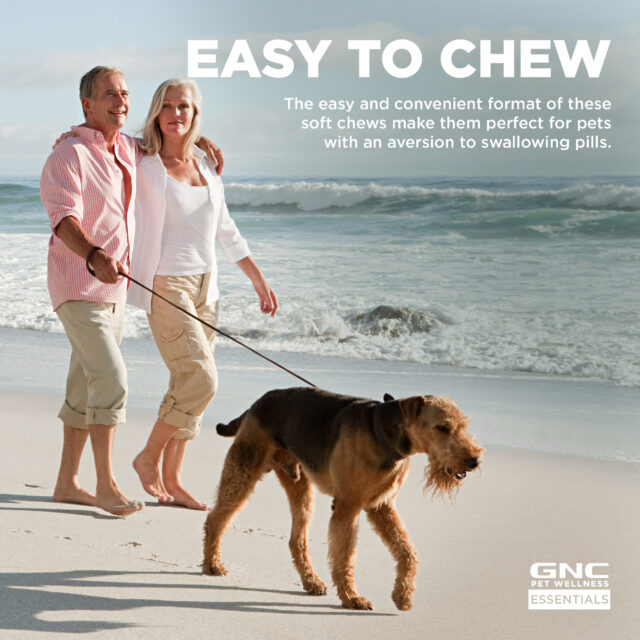 GNC Pet Wellness Essentials Dog Multivitamin Supplement for Healthy Immune System, Soft Chews - Image 7