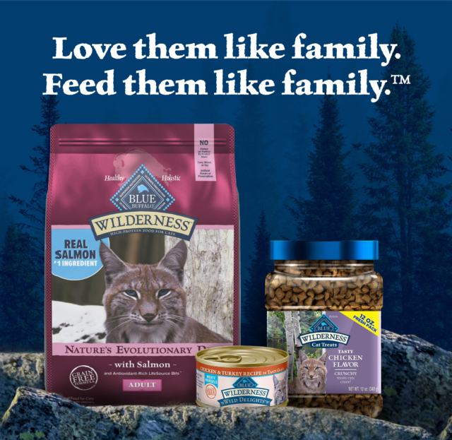 Blue Buffalo Wilderness Natural High Protein Dry Food for Adult Cats, Salmon - Image 2