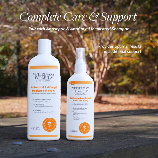 Veterinary Formula Clinical Care Antiseptic & Antifungal Medicated, 8oz, Coat Care, Dogs & Cats - Image 2