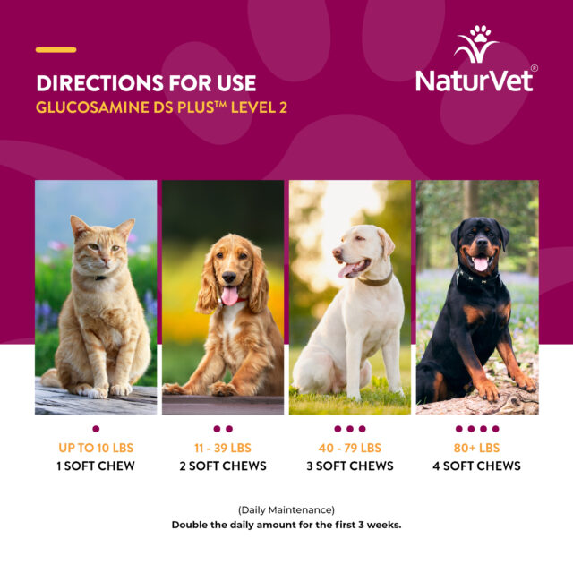 NaturVet Hip and Joint Chews for Dogs & Cats, Glucosamine DS Plus, Level 2 Moderate, 70 Soft Chews for Arthritis - Image 2