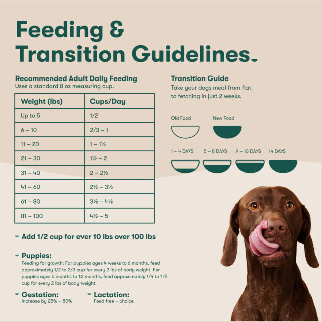 Jinx Cage-Free Chicken, Sweet Potato & Carrot Dry Dog Food, Grain Free, - Image 3