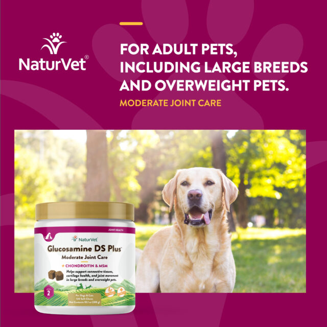 NaturVet Hip and Joint Chews for Dogs & Cats, Glucosamine DS Plus, Level 2 Moderate, 70 Soft Chews for Arthritis - Image 4
