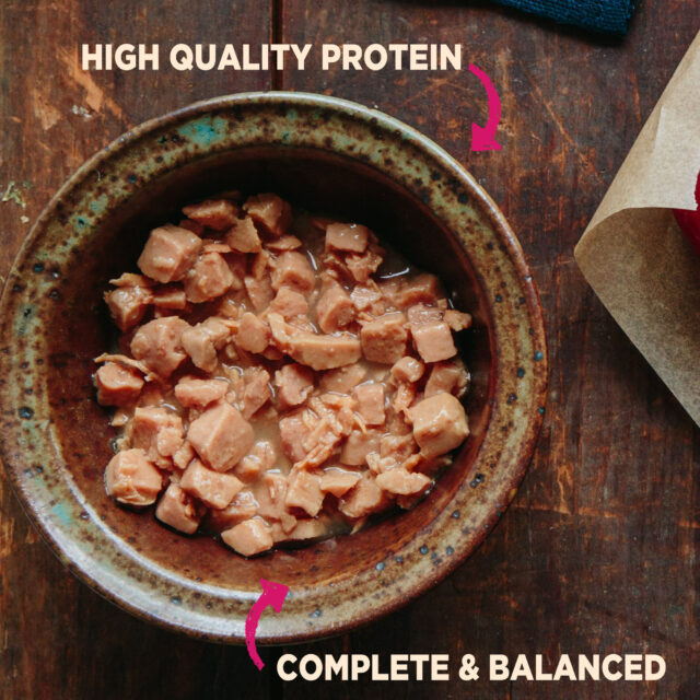 Wellness CORE Natural Grain Free Small Breed Mini Meals Wet Dog Food, Chunky Chicken & Chicken Liver Entrée in Gravy, 3-Ounce Pouch (Pack of 12) - Image 6