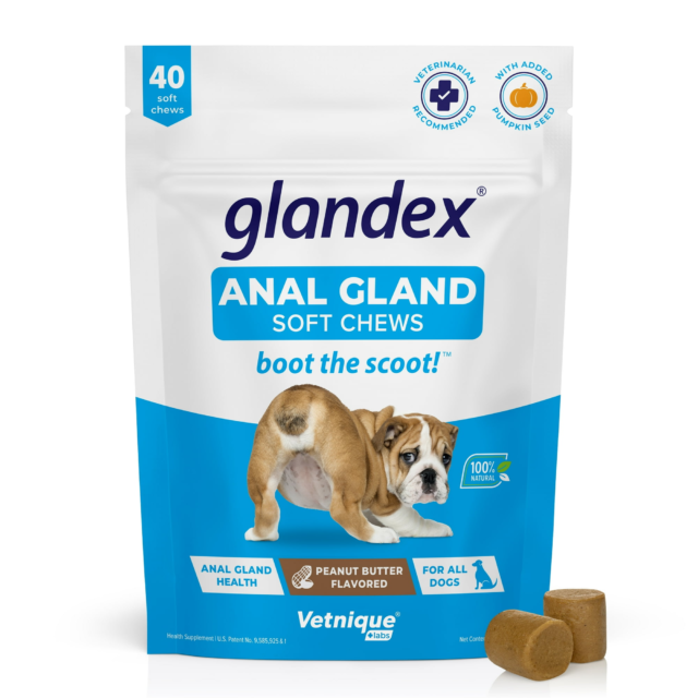 Vetnique Labs Glandex Anal Gland Soft Chews, Peanut Butter Flavored, for Dogs, 40 Count