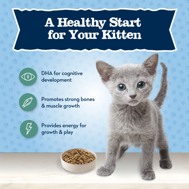 Blue Buffalo Baby BLUE Natural Kitten Dry Cat Food for Healthy Growth, Chicken - Image 4