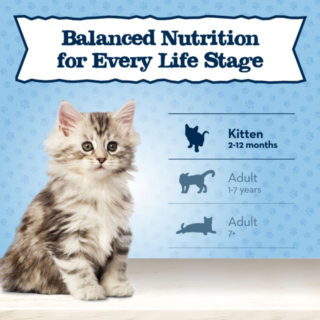 Blue Buffalo Baby BLUE Natural Kitten Dry Cat Food for Healthy Growth, Chicken - Image 3